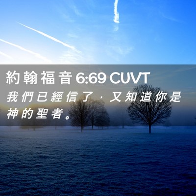 Picture 02 - 約 翰 福 音 6:69 CUVT - 我 們 已 經 信 了 ， 又 知 道 你 是 - Bible Verse Picture