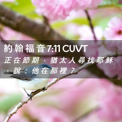 Picture 02 - 約 翰 福 音 7:11 CUVT - 正 在 節 期 ， 猶 太 人 尋 找 耶 穌 - Bible Verse Picture