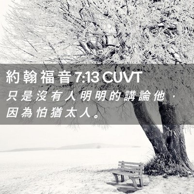 Picture 02 - 約 翰 福 音 7:13 CUVT - 只 是 沒 有 人 明 明 的 講 論 他 ， - Bible Verse Picture