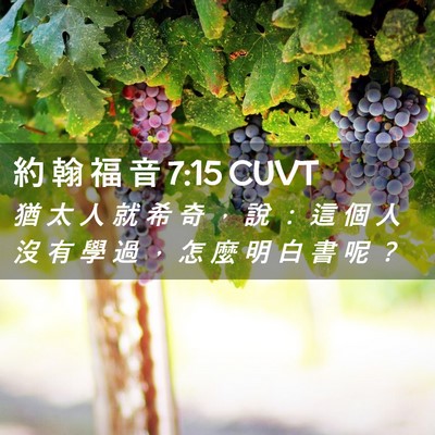 Picture 02 - 約 翰 福 音 7:15 CUVT - 猶 太 人 就 希 奇 ， 說 ： 這 個 人 - Bible Verse Picture