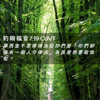 Picture 02 - 約 翰 福 音 7:19 CUVT - 摩 西 豈 不 是 傳 律 法 給 你 們 麼 - Bible Verse Picture