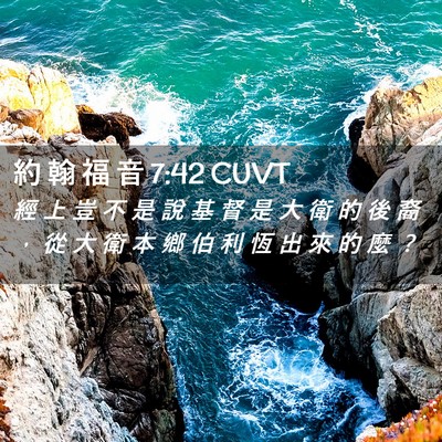 Picture 02 - 約 翰 福 音 7:42 CUVT - 經 上 豈 不 是 說 基 督 是 大 衛 的 - Bible Verse Picture