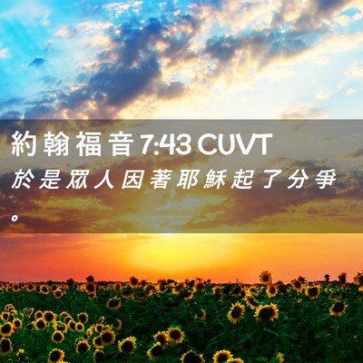 Picture 02 - 約 翰 福 音 7:43 CUVT - 於 是 眾 人 因 著 耶 穌 起 了 分 爭 - Bible Verse Picture