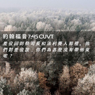 Picture 02 - 約 翰 福 音 7:45 CUVT - 差 役 回 到 祭 司 長 和 法 利 賽 人 - Bible Verse Picture