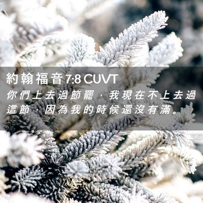 Picture 02 - 約 翰 福 音 7:8 CUVT - 你 們 上 去 過 節 罷 ， 我 現 在 不 - Bible Verse Picture
