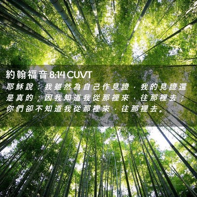 Picture 02 - 約 翰 福 音 8:14 CUVT - 耶 穌 說 ： 我 雖 然 為 自 己 作 見 - Bible Verse Picture