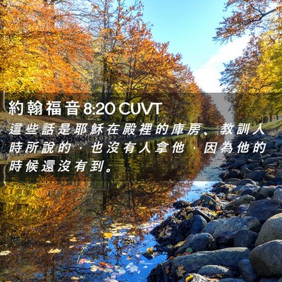 Picture 02 - 約 翰 福 音 8:20 CUVT - 這 些 話 是 耶 穌 在 殿 裡 的 庫 房 - Bible Verse Picture