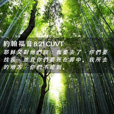 Picture 02 - 約 翰 福 音 8:21 CUVT - 耶 穌 又 對 他 們 說 ： 我 要 去 了 - Bible Verse Picture