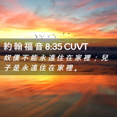 Picture 02 - 約 翰 福 音 8:35 CUVT - 奴 僕 不 能 永 遠 住 在 家 裡 ； 兒 - Bible Verse Picture