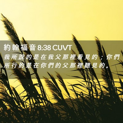 Picture 02 - 約 翰 福 音 8:38 CUVT - 我 所 說 的 是 在 我 父 那 裡 看 見 - Bible Verse Picture