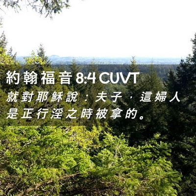 Picture 02 - 約 翰 福 音 8:4 CUVT - 就 對 耶 穌 說 ： 夫 子 ， 這 婦 人 - Bible Verse Picture