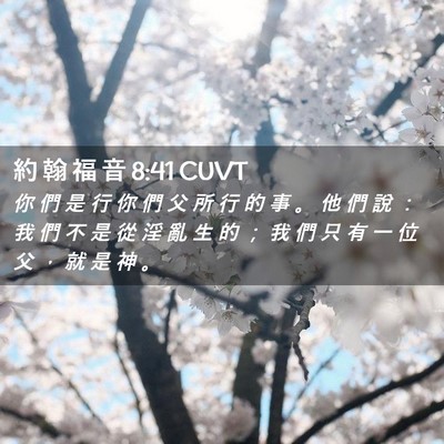 Picture 02 - 約 翰 福 音 8:41 CUVT - 你 們 是 行 你 們 父 所 行 的 事 。 - Bible Verse Picture