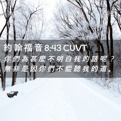 Picture 02 - 約 翰 福 音 8:43 CUVT - 你 們 為 甚 麼 不 明 白 我 的 話 呢 - Bible Verse Picture