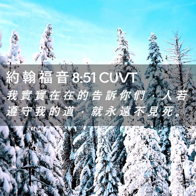 Picture 02 - 約 翰 福 音 8:51 CUVT - 我 實 實 在 在 的 告 訴 你 們 ， 人 - Bible Verse Picture