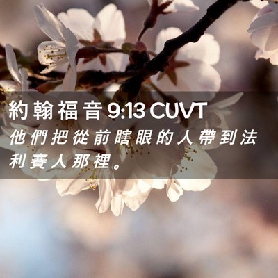 Picture 02 - 約 翰 福 音 9:13 CUVT - 他 們 把 從 前 瞎 眼 的 人 帶 到 法 - Bible Verse Picture