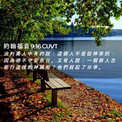 Picture 02 - 約 翰 福 音 9:16 CUVT - 法 利 賽 人 中 有 的 說 ： 這 個 人 - Bible Verse Picture