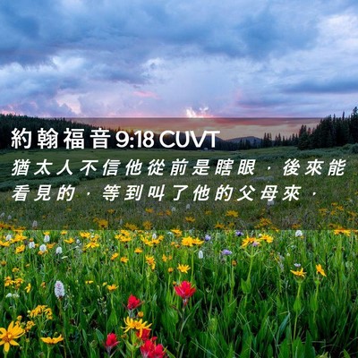 Picture 02 - 約 翰 福 音 9:18 CUVT - 猶 太 人 不 信 他 從 前 是 瞎 眼 ， - Bible Verse Picture