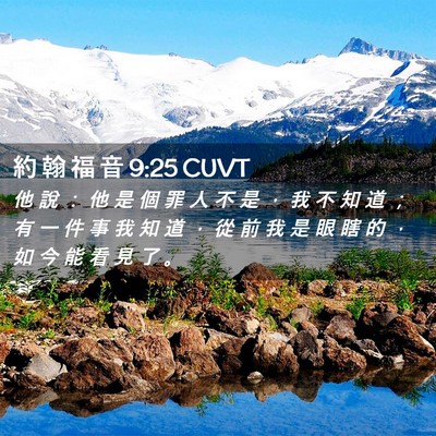 Picture 02 - 約 翰 福 音 9:25 CUVT - 他 說 ： 他 是 個 罪 人 不 是 ， 我 - Bible Verse Picture