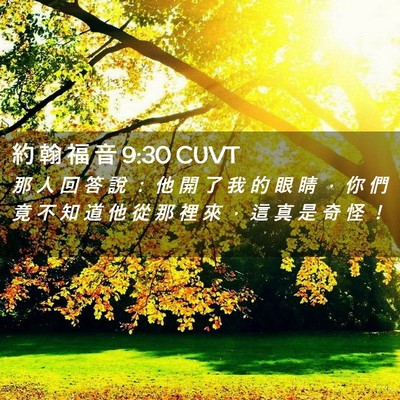 Picture 02 - 約 翰 福 音 9:30 CUVT - 那 人 回 答 說 ： 他 開 了 我 的 眼 - Bible Verse Picture
