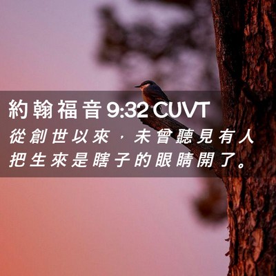 Picture 02 - 約 翰 福 音 9:32 CUVT - 從 創 世 以 來 ， 未 曾 聽 見 有 人 - Bible Verse Picture