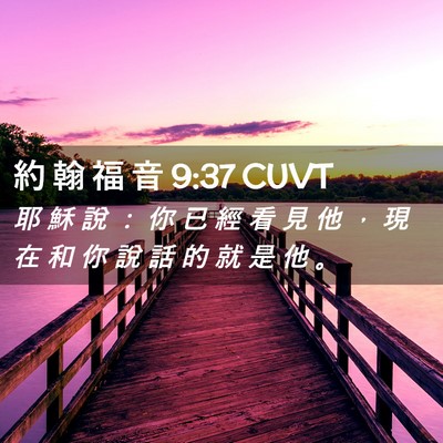 Picture 02 - 約 翰 福 音 9:37 CUVT - 耶 穌 說 ： 你 已 經 看 見 他 ， 現 - Bible Verse Picture