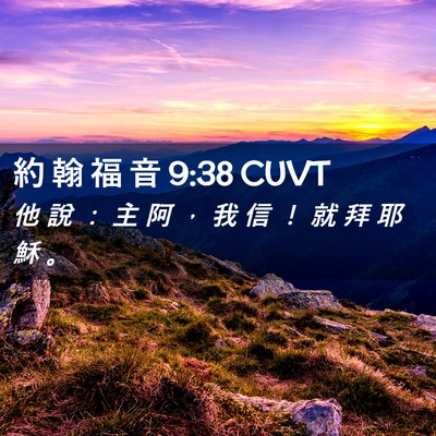 Picture 02 - 約 翰 福 音 9:38 CUVT - 他 說 ： 主 阿 ， 我 信 ！ 就 拜 耶 - Bible Verse Picture