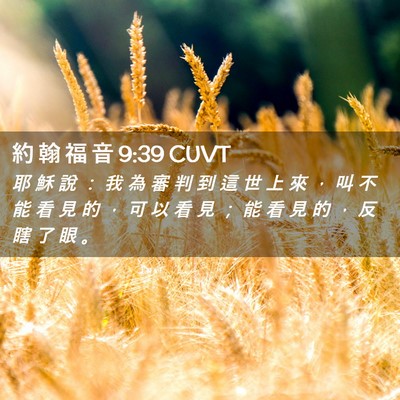 Picture 02 - 約 翰 福 音 9:39 CUVT - 耶 穌 說 ： 我 為 審 判 到 這 世 上 - Bible Verse Picture