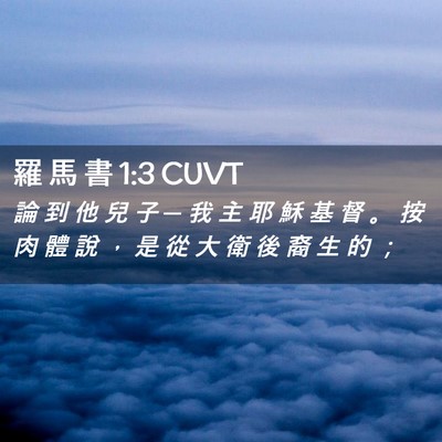 Picture 02 - 羅 馬 書 1:3 CUVT - 論 到 他 兒 子 ─ 我 主 耶 穌 基 督 - Bible Verse Picture