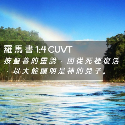 Picture 02 - 羅 馬 書 1:4 CUVT - 按 聖 善 的 靈 說 ， 因 從 死 裡 復 - Bible Verse Picture