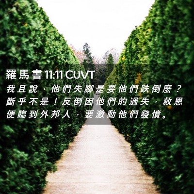 Picture 02 - 羅 馬 書 11:11 CUVT - 我 且 說 ， 他 們 失 腳 是 要 他 們 - Bible Verse Picture
