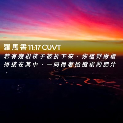 Picture 02 - 羅 馬 書 11:17 CUVT - 若 有 幾 根 枝 子 被 折 下 來 ， 你 - Bible Verse Picture
