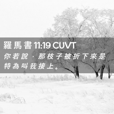 Picture 02 - 羅 馬 書 11:19 CUVT - 你 若 說 ， 那 枝 子 被 折 下 來 是 - Bible Verse Picture