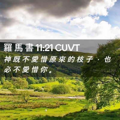 Picture 02 - 羅 馬 書 11:21 CUVT - 神 既 不 愛 惜 原 來 的 枝 子 ， 也 - Bible Verse Picture
