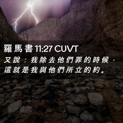 Picture 02 - 羅 馬 書 11:27 CUVT - 又 說 ： 我 除 去 他 們 罪 的 時 候 - Bible Verse Picture