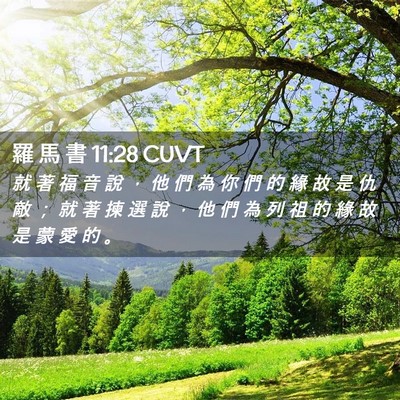 Picture 02 - 羅 馬 書 11:28 CUVT - 就 著 福 音 說 ， 他 們 為 你 們 的 - Bible Verse Picture