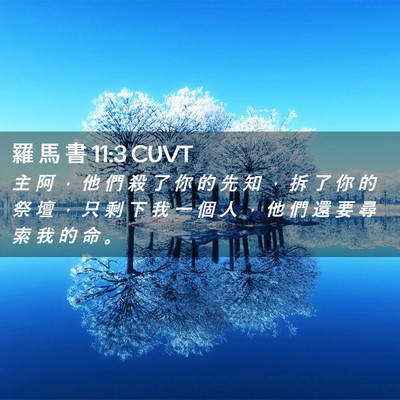 Picture 02 - 羅 馬 書 11:3 CUVT - 主 阿 ， 他 們 殺 了 你 的 先 知 ， - Bible Verse Picture