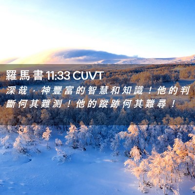 Picture 02 - 羅 馬 書 11:33 CUVT - 深 哉 ， 神 豐 富 的 智 慧 和 知 識 - Bible Verse Picture