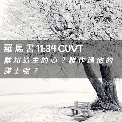 Picture 02 - 羅 馬 書 11:34 CUVT - 誰 知 道 主 的 心 ？ 誰 作 過 他 的 - Bible Verse Picture