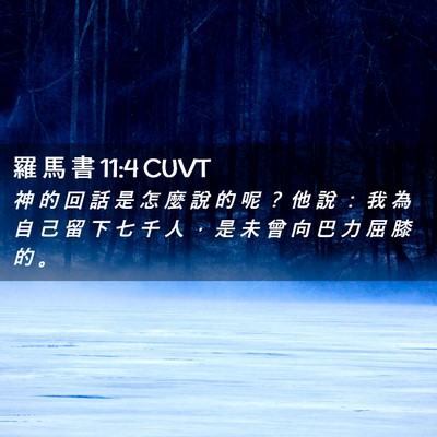 Picture 02 - 羅 馬 書 11:4 CUVT - 神 的 回 話 是 怎 麼 說 的 呢 ？ 他 - Bible Verse Picture