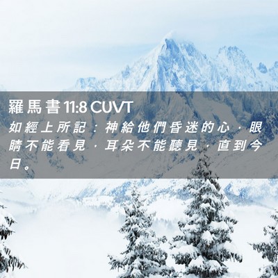 Picture 02 - 羅 馬 書 11:8 CUVT - 如 經 上 所 記 ： 神 給 他 們 昏 迷 - Bible Verse Picture