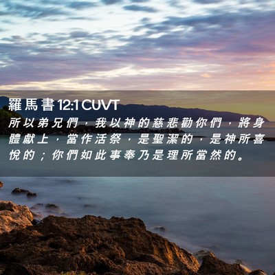 Picture 02 - 羅 馬 書 12:1 CUVT - 所 以 弟 兄 們 ， 我 以 神 的 慈 悲 - Bible Verse Picture