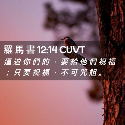 Picture 02 - 羅 馬 書 12:14 CUVT - 逼 迫 你 們 的 ， 要 給 他 們 祝 福 - Bible Verse Picture