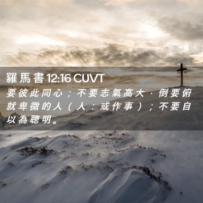 Picture 02 - 羅 馬 書 12:16 CUVT - 要 彼 此 同 心 ； 不 要 志 氣 高 大 - Bible Verse Picture