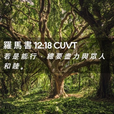 Picture 02 - 羅 馬 書 12:18 CUVT - 若 是 能 行 ， 總 要 盡 力 與 眾 人 - Bible Verse Picture
