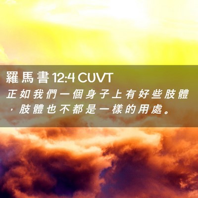 Picture 02 - 羅 馬 書 12:4 CUVT - 正 如 我 們 一 個 身 子 上 有 好 些 - Bible Verse Picture