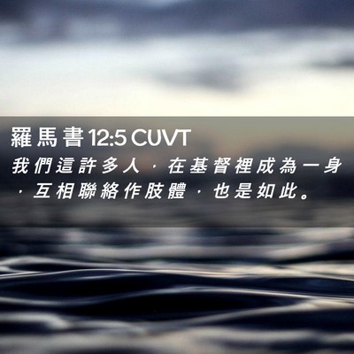 Picture 02 - 羅 馬 書 12:5 CUVT - 我 們 這 許 多 人 ， 在 基 督 裡 成 - Bible Verse Picture