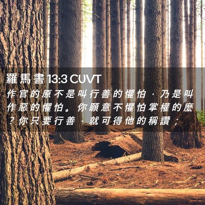 Picture 02 - 羅 馬 書 13:3 CUVT - 作 官 的 原 不 是 叫 行 善 的 懼 怕 - Bible Verse Picture