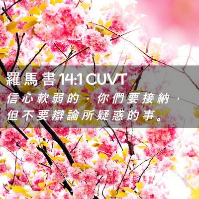 Picture 02 - 羅 馬 書 14:1 CUVT - 信 心 軟 弱 的 ， 你 們 要 接 納 ， - Bible Verse Picture