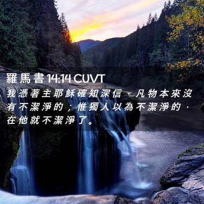 Picture 02 - 羅 馬 書 14:14 CUVT - 我 憑 著 主 耶 穌 確 知 深 信 ， 凡 - Bible Verse Picture