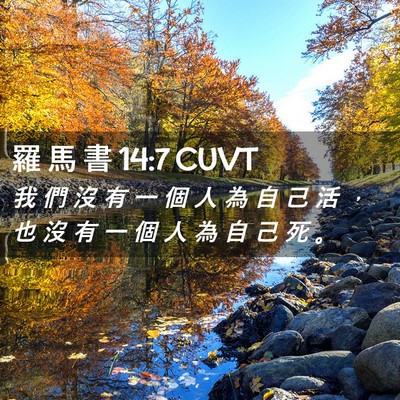 Picture 02 - 羅 馬 書 14:7 CUVT - 我 們 沒 有 一 個 人 為 自 己 活 ， - Bible Verse Picture